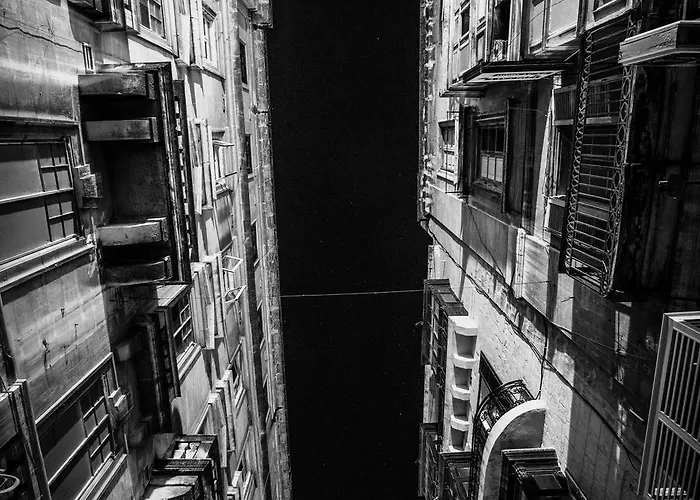 Collection - Mint Appartement